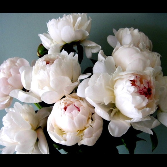 Meet your Posher, Janet - Picture 1 of 1